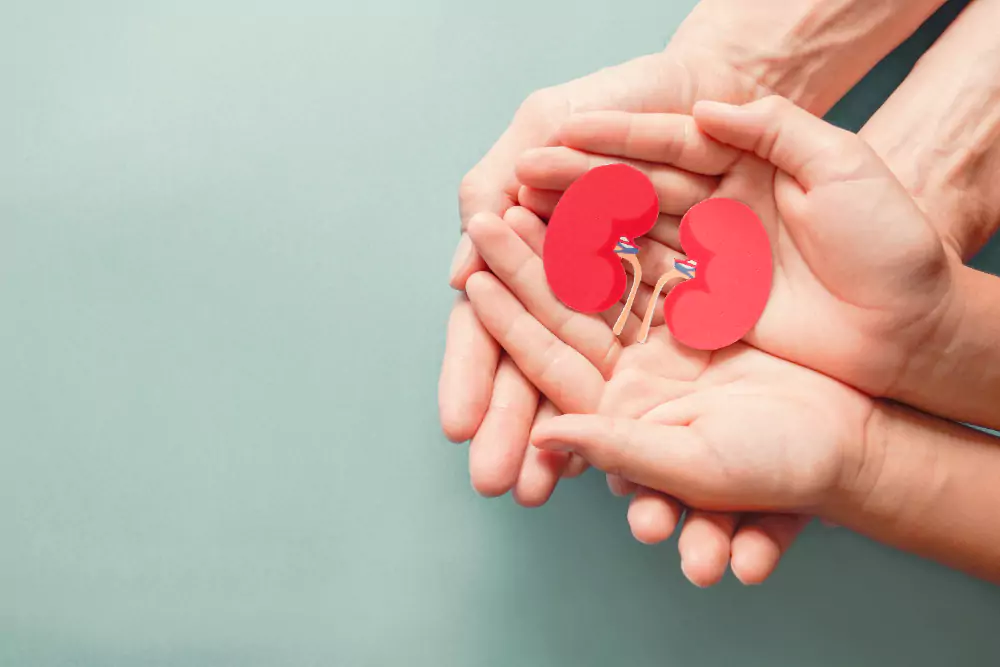 Kidney Transplantation